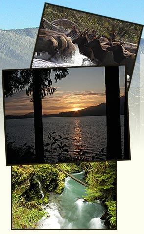 Lake Quinault Washington